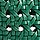 LAGOON GREEN